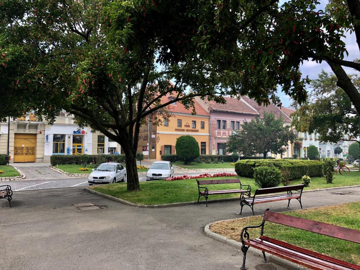 Voeroes Guest House Tîrgu Secuiesc Esterno foto