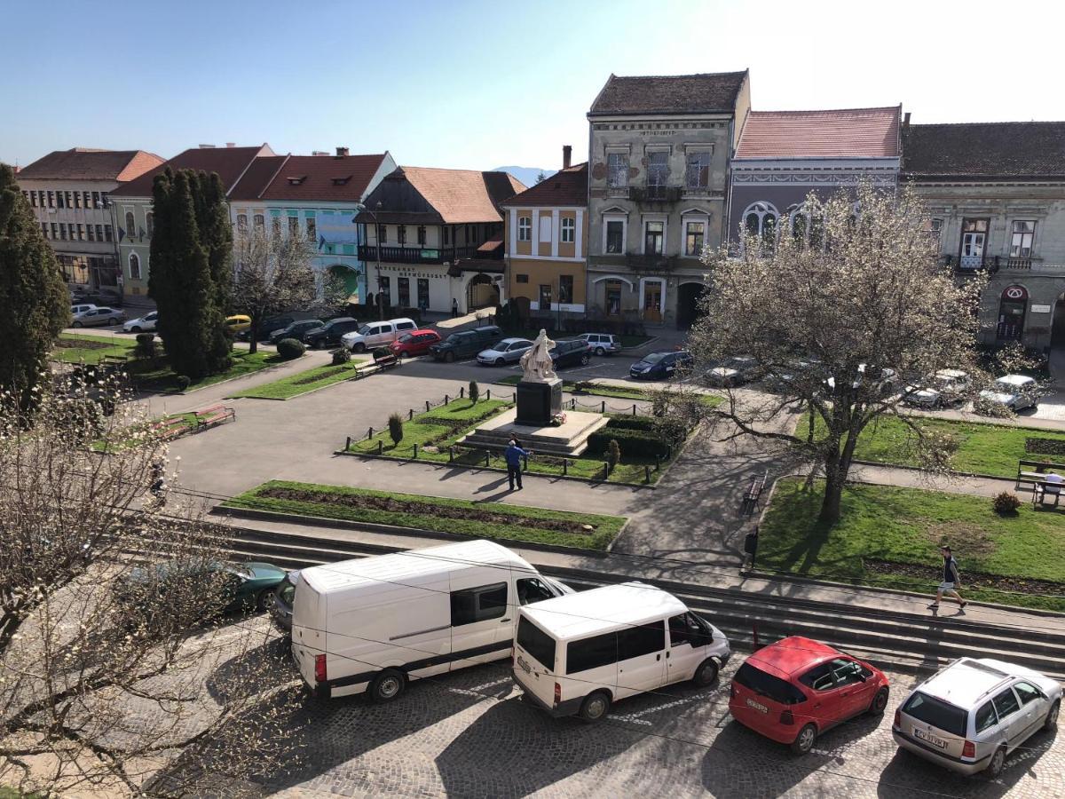 Voeroes Guest House Tîrgu Secuiesc Esterno foto