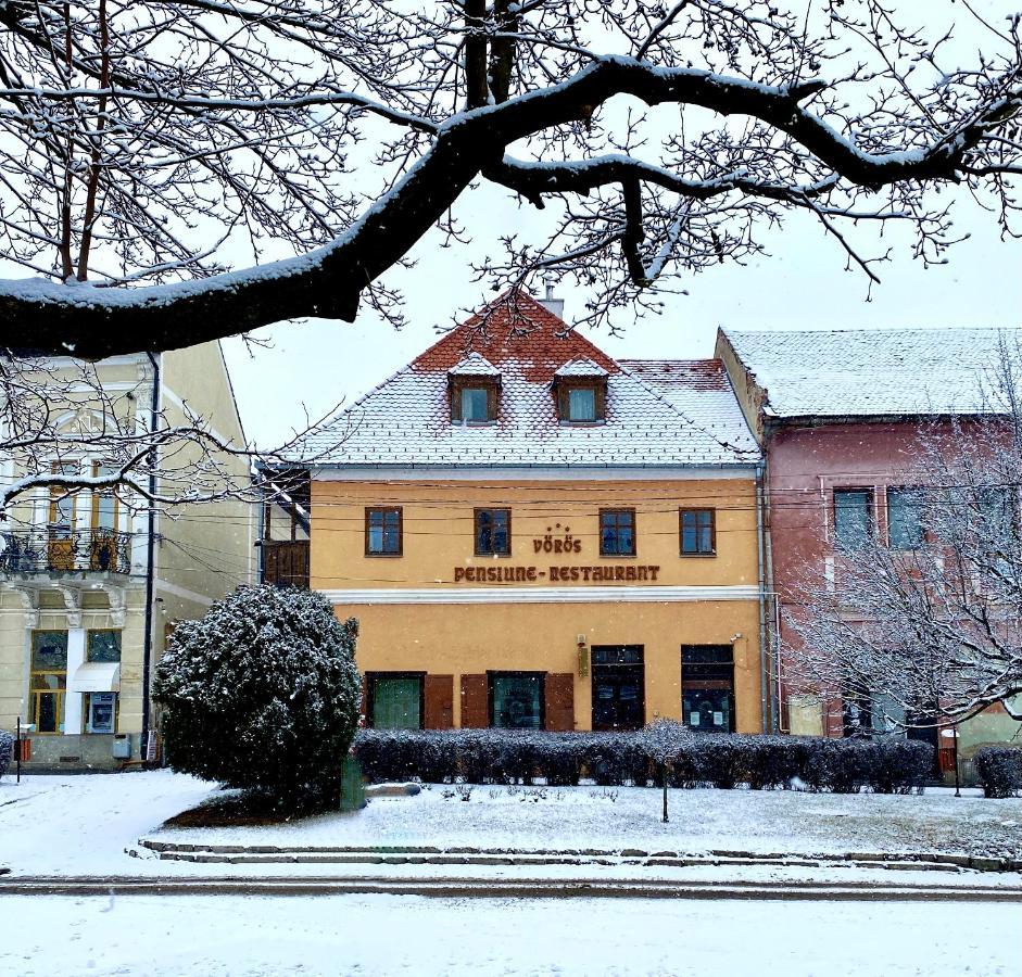 Voeroes Guest House Tîrgu Secuiesc Esterno foto